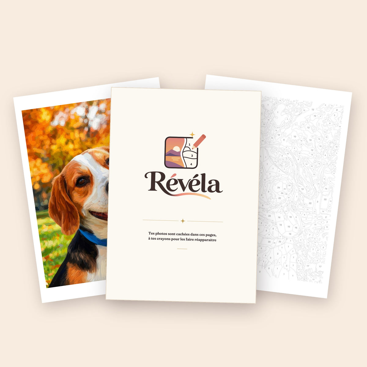 Livre de coloriages Révéla